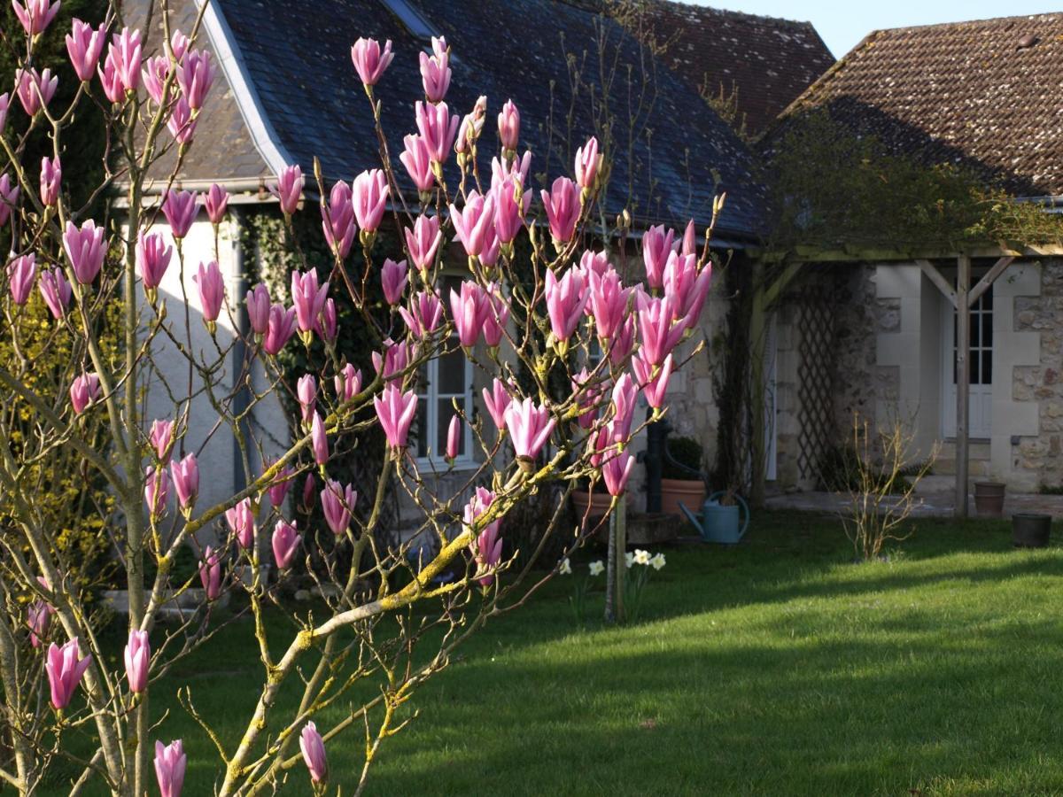 Le Petit * Villandry